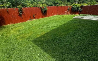 Photo of Gino M.'s yard after getting lawn care in Scarborough, ME