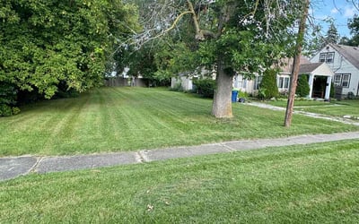Photo of Heather W.'s yard after getting lawn care in Saginaw, MI