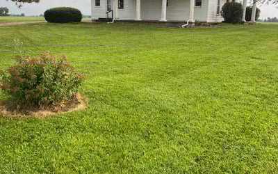 Photo of Kaitlyn N.'s yard after getting lawn care in Pensacola, FL