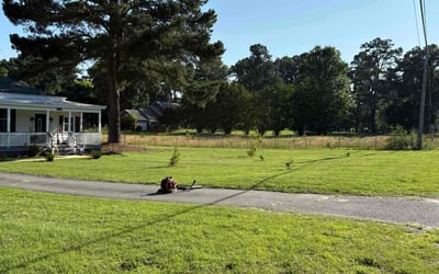 Photo of Venus G.'s yard after getting lawn care in Country Club Hills, IL