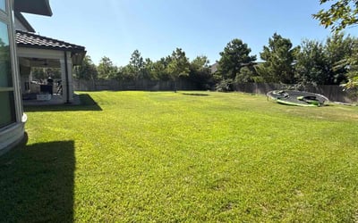 Photo of Darci K.'s yard after getting lawn care in Merritt Island, FL