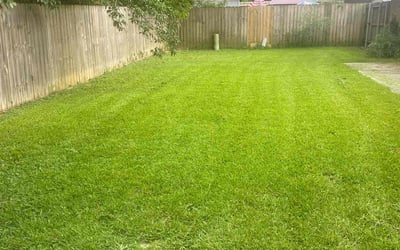 Photo of Patricia H.'s yard after getting lawn care in Westminster, CA
