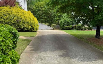 Photo of Jasmine N.'s yard after getting lawn care in Woodstock, GA