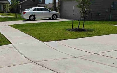 Photo of Pamela S.'s yard after getting lawn care in Houston, TX