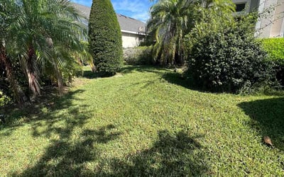 Photo of Rosita F.'s yard after getting lawn care in Daly City, CA