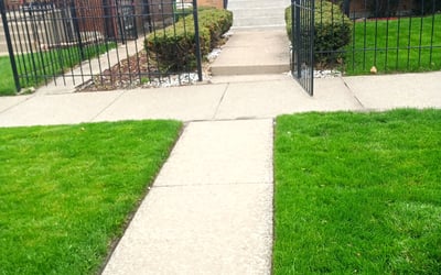 Photo of Tamara H.'s yard after getting lawn care in Bloomington, IL