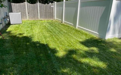 Photo of Ana B.'s yard after getting lawn care in Lugoff, SC