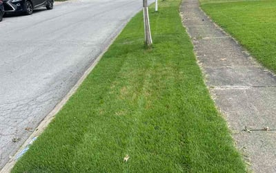 Photo of Taylor M.'s yard after getting lawn care in Beloit, WI