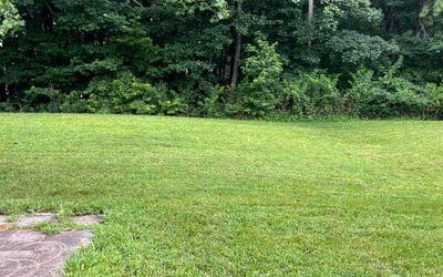 Photo of Jazmin G.'s yard after getting lawn care in Fort Smith, AR