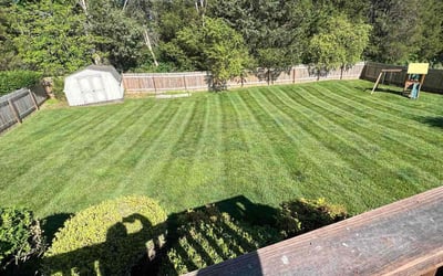 Photo of Arturo R.'s yard after getting lawn care in Winston-Salem, NC