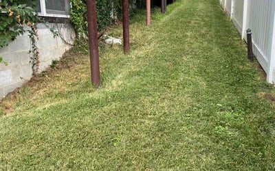 Photo of Erica W.'s yard after getting lawn care in Ozone Park, NY