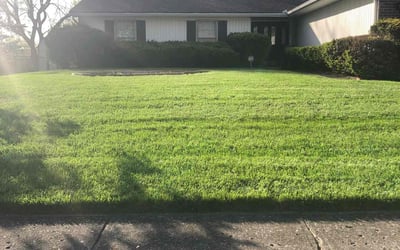 Photo of Ken N.'s yard after getting lawn care in Rogers, AR