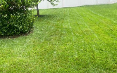 Photo of Cee C.'s yard after getting lawn care in Upper Marlboro, MD