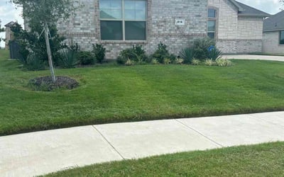 Photo of Kaz M.'s yard after getting lawn care in Midlothian, TX