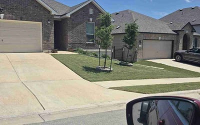 Photo of Stephen R.'s yard after getting lawn care in Hoffman Estates, IL