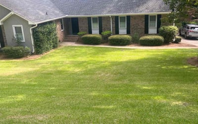 Photo of Greg B.'s yard after getting lawn care in Columbia, SC