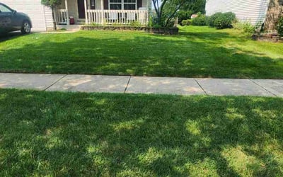 Photo of Waylon S.'s yard after getting lawn care in Houma, LA