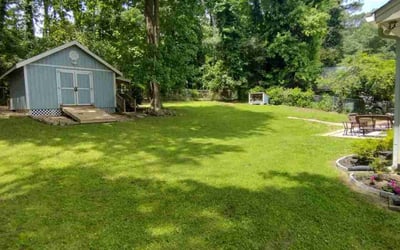 Photo of Carollera C.'s yard after getting lawn care in Lathrop, CA