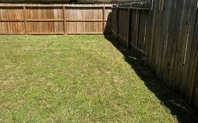 Photo of Lou V.'s yard after getting lawn care in Peachtree City, GA