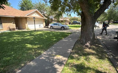 Photo of Jon K.'s yard after getting lawn care in Atascadero, CA