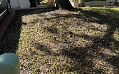 Photo of James C.'s yard after getting tree care in Chandler, AZ