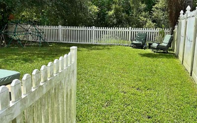 Photo of Lora B.'s yard after getting lawn care in El Centro, CA