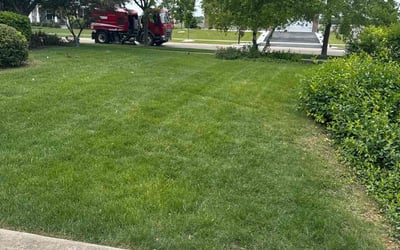 Photo of Vikki M.'s yard after getting lawn care in South Hadley, MA