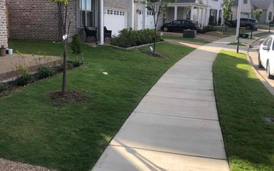 Photo of Linda S.'s yard after getting lawn care in Collierville, TN