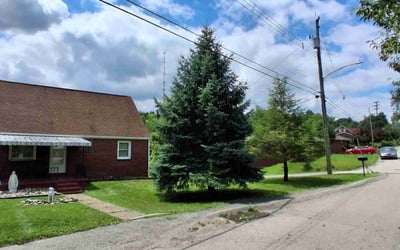 Photo of Robert H.'s yard after getting lawn care in New Brighton, PA