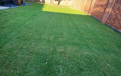 Photo of Melissa F.'s yard after getting lawn care in Rego Park, NY