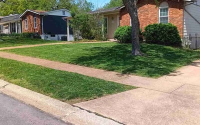 Photo of Kaitlyn M.'s yard after getting lawn care in Fenton, MO