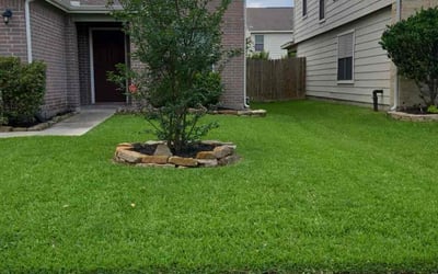 Photo of Rebecca C.'s yard after getting lawn care in Spring, TX