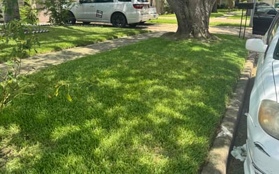 Photo of Catina J.'s yard after getting lawn care in Carol Stream, IL
