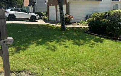 Photo of Leacardela H.'s yard after getting lawn care in Texas City, TX