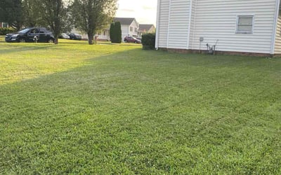 Photo of Malik G.'s yard after getting lawn care in Randleman, NC