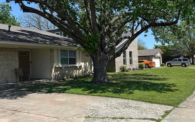 Photo of Susan T.'s yard after getting lawn care in Garland, TX