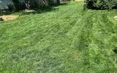 Photo of Paul V.'s yard after getting lawn care in Riverdale, MD