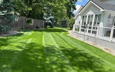 Photo of Tj B.'s yard after getting lawn care in Martinsville, IN