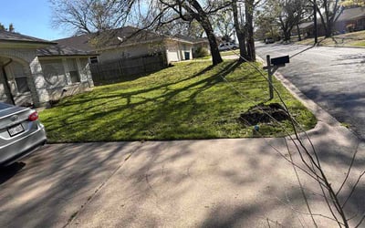 Photo of Denesha G.'s yard after getting lawn care in La Plata, MD