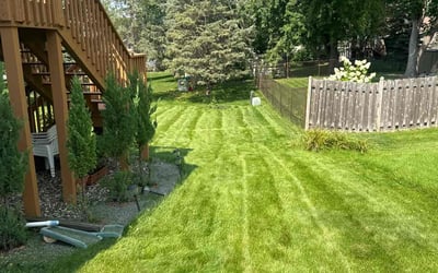 Photo of Laureen S.'s yard after getting lawn care in Minneapolis, MN