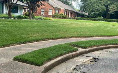 Photo of Lamonica Q.'s yard after getting lawn care in Canton, MS