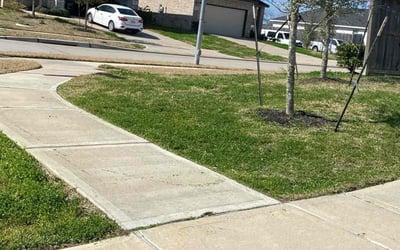 Photo of Javier G.'s yard after getting lawn care in Carbondale, PA