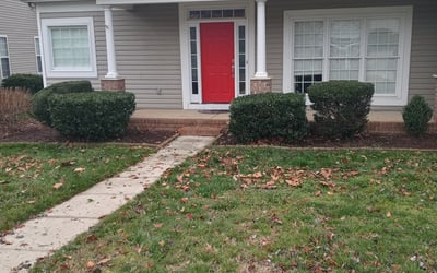 Photo of Karen H.'s yard after getting tree care in Honolulu, HI