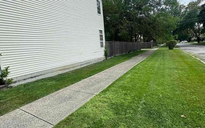 Photo of Peter D.'s yard after getting lawn care in Maywood, IL