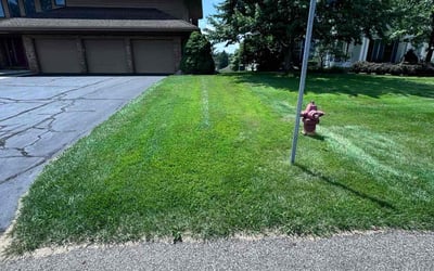 Photo of Rita R.'s yard after getting lawn care in Caledonia, MI
