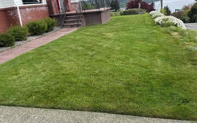 Photo of Jeff K.'s yard after getting lawn care in Burien, WA