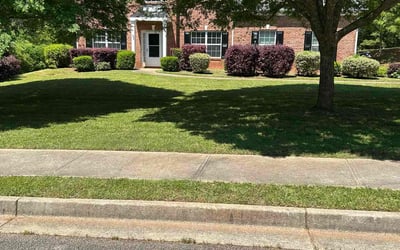 Photo of Jade K.'s yard after getting lawn care in Stockbridge, GA