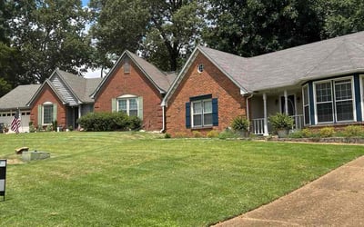 Photo of Laronda S.'s yard after getting lawn care in Newark, DE