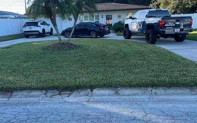 Photo of Danielle F.'s yard after getting lawn care in Clearwater, FL