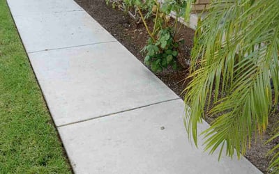 Photo of Linda B.'s yard after getting lawn care in Big Bear City, CA